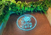 De Turtle cafe’ - คาเฟ่สุรินทร์