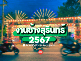 งานช้างสุรินทร์ 2567